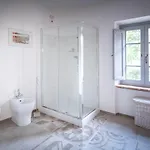 Il Mulino *