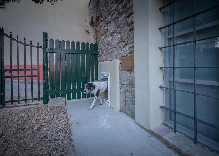 Il Mulino * Civitella de'Conti